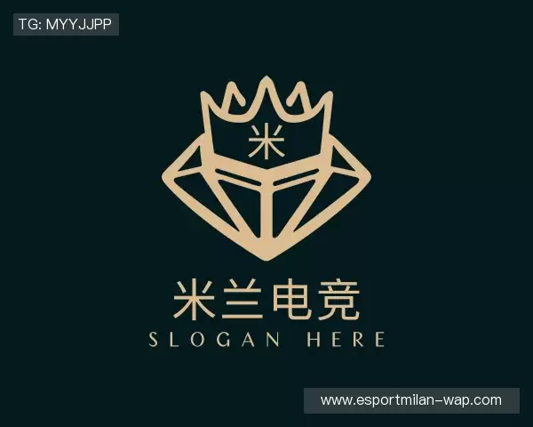介绍米兰电竞